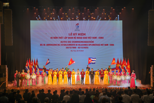 anh1228